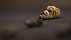 V�stonická venu�e a dal�ích tém�� 200 historických artefakt� je sou�ástí...