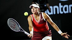 Americká tenistka Caroline Dolehideová na turnaji v Guadalajae.