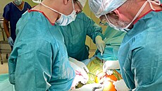 Bhem tyhodinové operace vymnili lékai jihlavské nemocnice pacientce po...