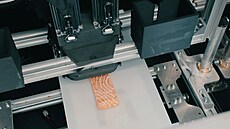 Veganské lososové filety vytištěné na 3D tiskárně jsou od tohoto týdne k...