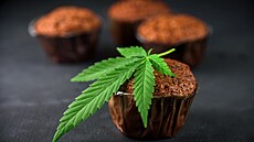 Muffiny s marihuanou (6. srpna 2021)