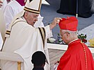 Pape Frantiek v sobotu ve Vatikánu slavnostn jmenoval 21 nových kardinál....
