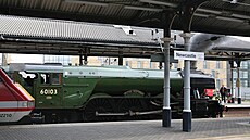 Historická parní lokomotiva Létající Skot (10. kvtna 2016)