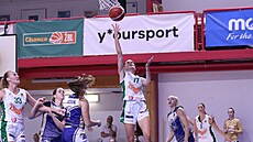 Nikolina Kne�evi�ová ze �abin Brno zakon�uje na chomutovský ko�.