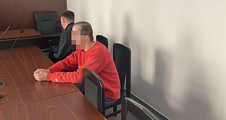 tyicetiletý Radek J. u Krajského soudu v Plzni. Týral svoji matku a nutil ji,...