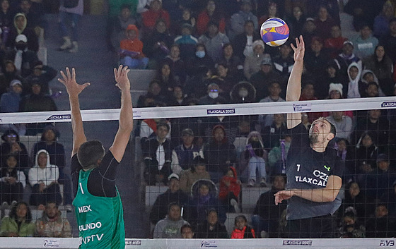 : Plá�oví volejbalisté Ond�ej Peru�i� (vpravo) a David Schweiner.