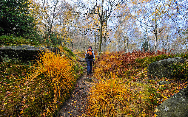 Do skal i krásných lesů. Vyzkoušejte pět tipů na kouzelné podzimní výlety