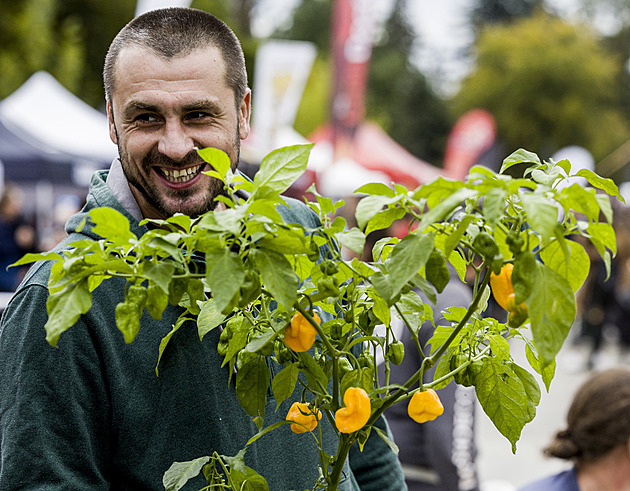 OBRAZEM: Na pražském Výstavišti lidé soutěžili v pojídání chilli papriček