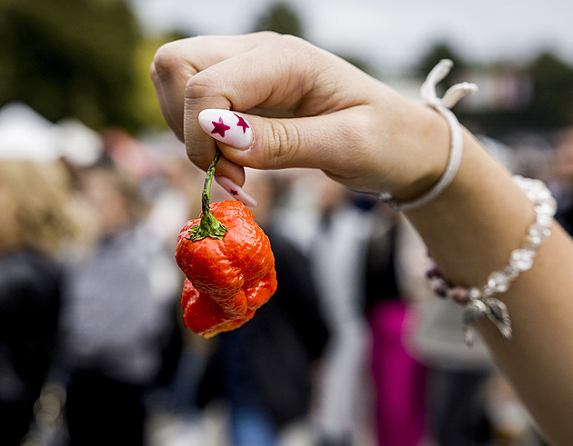 OBRAZEM: Na pražském Výstavišti lidé soutěžili v pojídání chilli papriček
