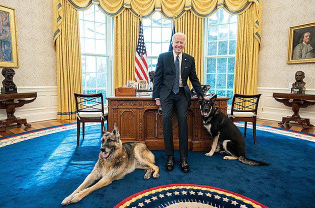 Bidenův vlčák Commander musel opustit Bílý dům, pokousal nejméně deset lidí
