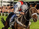 �okej Jan Faltejsek s valachem Sacamirem vít�zí ve 133. Velké pardubické.