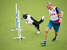 V Liberci vrchol� mistrovstv� sv�ta v agility.