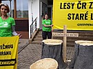 Aktivisté Greenpeace protestovali proti tb starých les