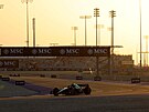 Fernando Alonso z Aston Martin v tréninku na Velkou cenu Kataru F1.