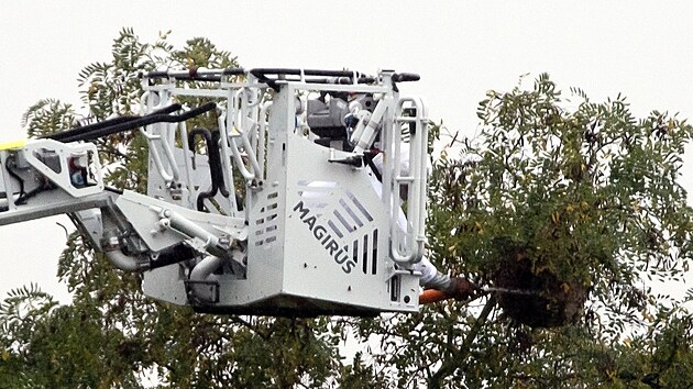 Hasi�i likviduj� hn�zdo sr�n� asijsk�ch v Plzni. (9. ��jna 2023)