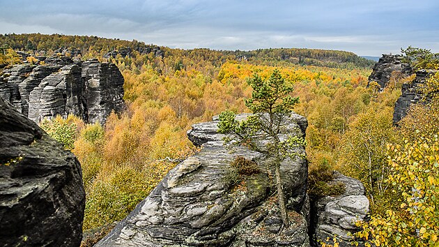 Bizarn pskovcov Tisk stny pat k nejstarm turistickm oblastem Labskch pskovc.