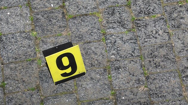 N�kolik prsten� cestou poztr�cel.