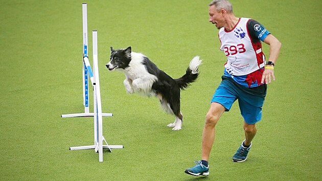 V Liberci vrchol� mistrovstv� sv�ta v agility.