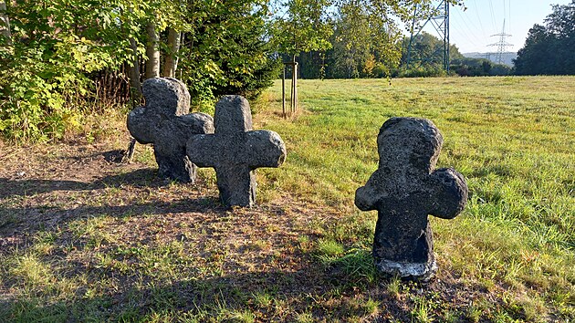 Skupiny sm�r��ch k��� v Lokti