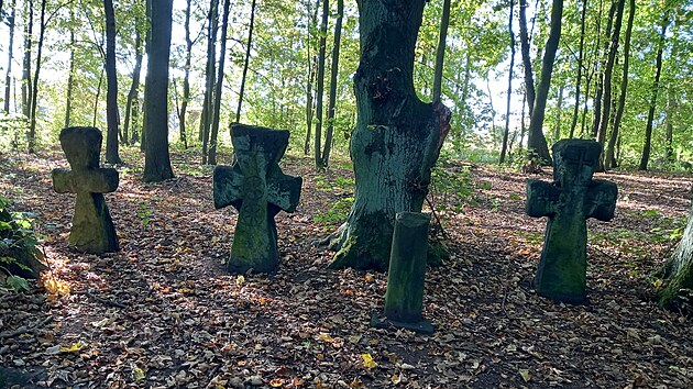 Skupiny sm�r��ch k��� v Lokti