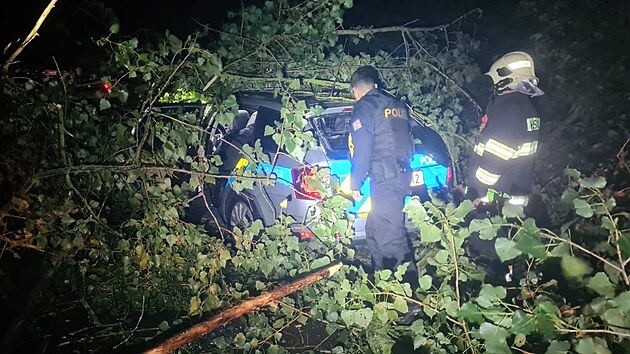 Na hldkujc vz Policie R spadl v noci bhem silnho vtru strom. (4. jna 2023)