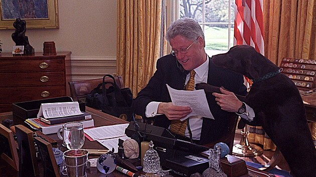 Bill Clinton s temperamentnm okoldovm retrieverem Buddym. Socks s Buddym se nesneli, co vedlo k astm incidentm. (24. ervence 1998)