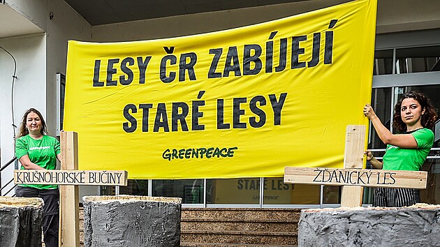 Proti kcen vzcnch starch les protestovali ped sdlem Les R v Hradci Krlov aktivist z hnut Greenpeace. (4. jna 2023)