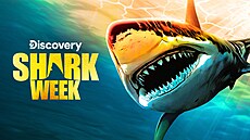 Shark Week na Discovery HD