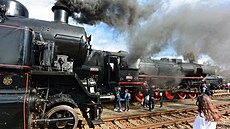 Oslavy 150 let Moravské pohraniní dráhy se konaly v sobotu ve stanici v Dolní...