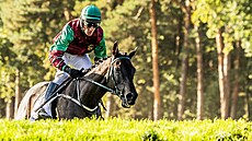 okej Jaroslav Myka s Kaiserwalzerem na trati Velké pardubické