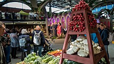 Zaala podzimní výstava Flora Olomouc