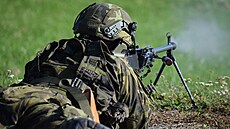 Vojenské cviení armádních aktivních záloh ve vojenském prostoru Libavá. (5....