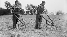 Za války i t�kou práci v zem�d�lství zastávaly �eny.