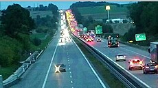Kvli nehod se na dálnici D1 tvoí kolony. (5. íjna 2023)
