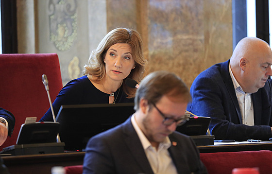Brnnská primátorka Markéta Vaková na zasedání brnnského zastupitelstva, které rozhodlo o zruení zakázky na nový kotel ve zdejí spalovn.
