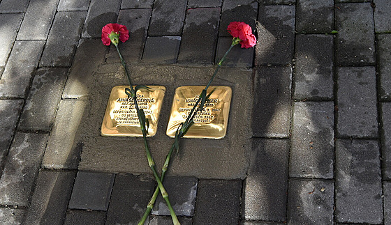 Zmaené ivoty prostjovských id a len Sokola pipomínají nyní v ulicích msta dalí kameny zmizelých.