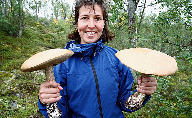 Nevzdávejte se naděje, s ochlazením není konec houbaření, říká mykoložka