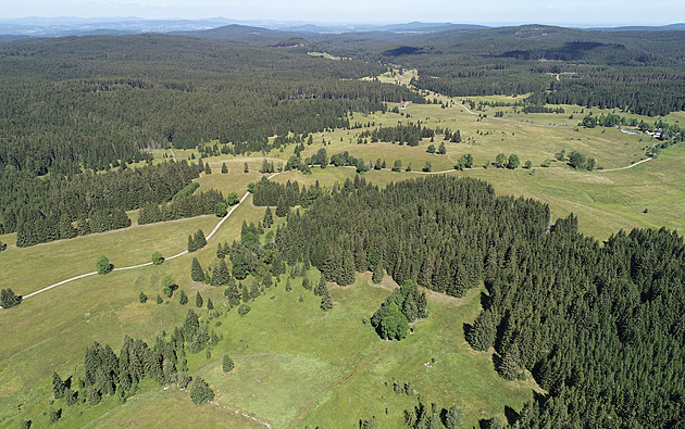 Pohoří na Šumavě dostalo zvláštní ochranu díky lukám, lesům i rašeliništím