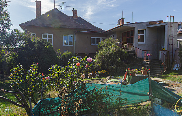 Rodina ve svém domě pečuje o odložené psí staříky, překonala i pokousání