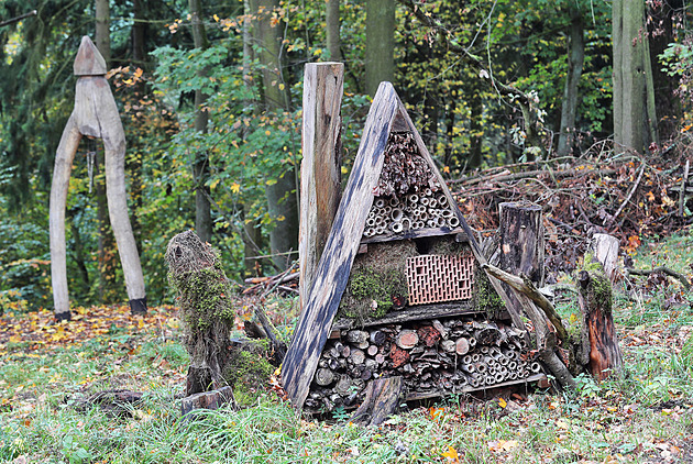 Loketský park Třešňovka získal ocenění, jeho obnova je ekologický počin roku