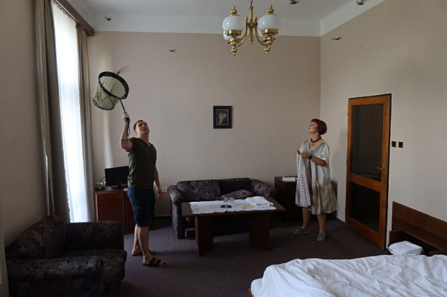Ignorovali varování. Turisté v Plzni nezavřeli okna, ráno měli v pokoji stovky netopýrů
