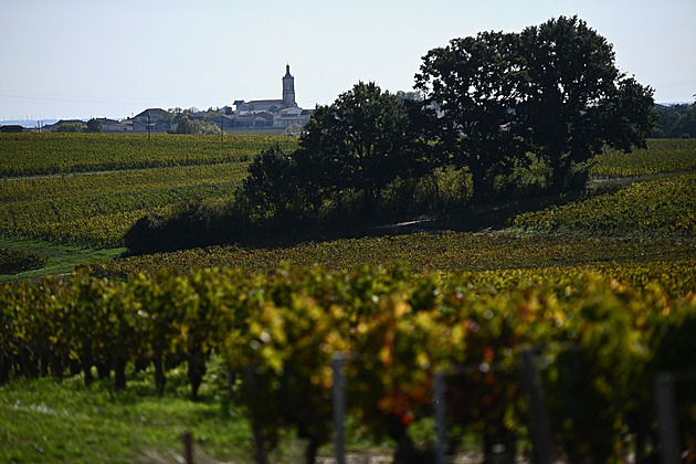 Francie má šanci být jedničkou v produkci vína. Itálii sužovala neúroda