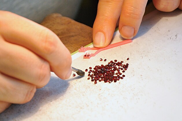 Turnovsk� v�robce �perk� Gran�t nech� nahl�dnout ve�ejnost do d�len, kde pod...