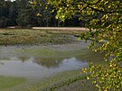 Vypu�t�n� Horn� rybn�k v Z�meck� zahrad� v Teplic�ch (��jen 2023)