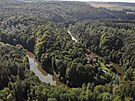 Pírodní památku Údolí Lunice a Vlásenického potoka tvoí lesní porosty na...