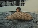 Libue vormová v pohádce Jak se budí princezny (1977)