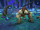 World of Warcraft: Dragonflight  Guardians of the Dream