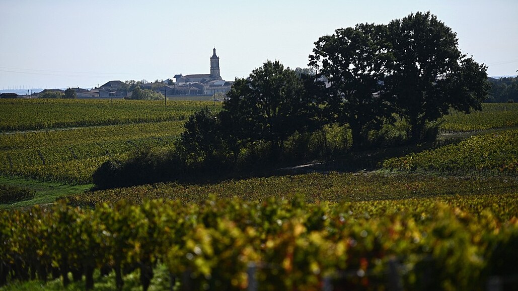 Vinice za vesnicí Saint-Estephe v jihozápadním francouzském regionu Medoc (6....