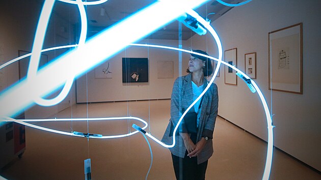 Jedinou v�jimkou mezi autory 20. stolet� je aktu�ln� instalace, za kterou stoj� vizu�ln� um�lec Pavel Korbi�ka. Na sn�mku kur�torka v�stavy Jana Farsk� H�jkov�.