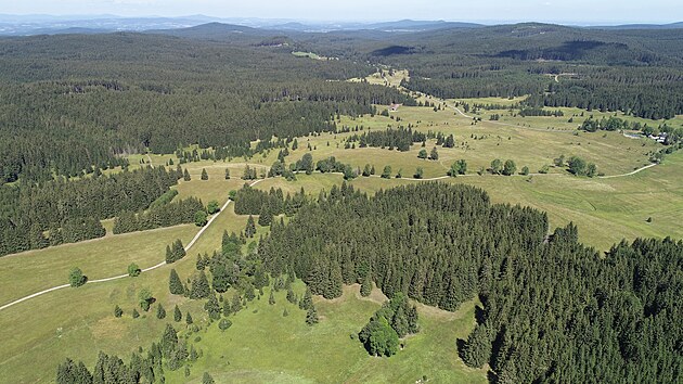 Poho�� na �umav� - nov� zvl᚝ chr�n�n� �zem� se rozkl�d� u hranic s Rakouskem v katastru obce Pohorsk� Ves.